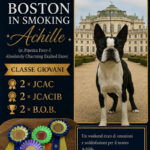 Boston in Smoking Achille